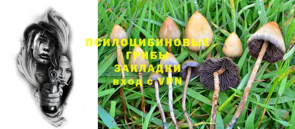 синтетический гашиш Алексеевка