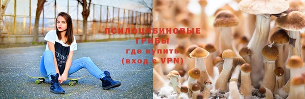 прущая мука Покровск